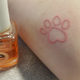 Illustration for article titled Ack, I did it! I got a tattoo!